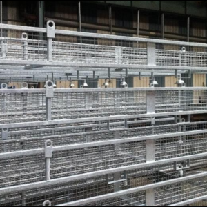 Panier de manutention - Lisses garde corps Ø33.7